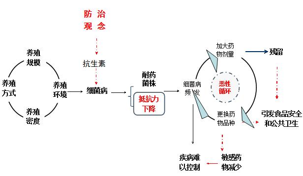 有效防控疾病成就健康生态养殖